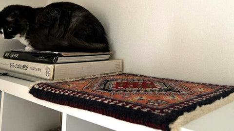 Just one rug!! 