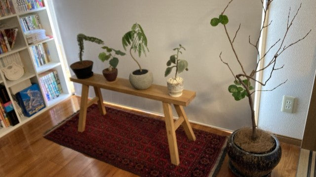 家具の見え方が変わった