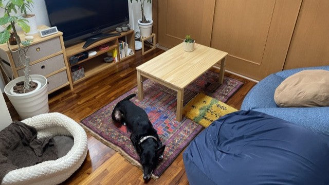 ますますおうちが好きになりました