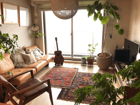 The atmosphere of the room is upgraded 